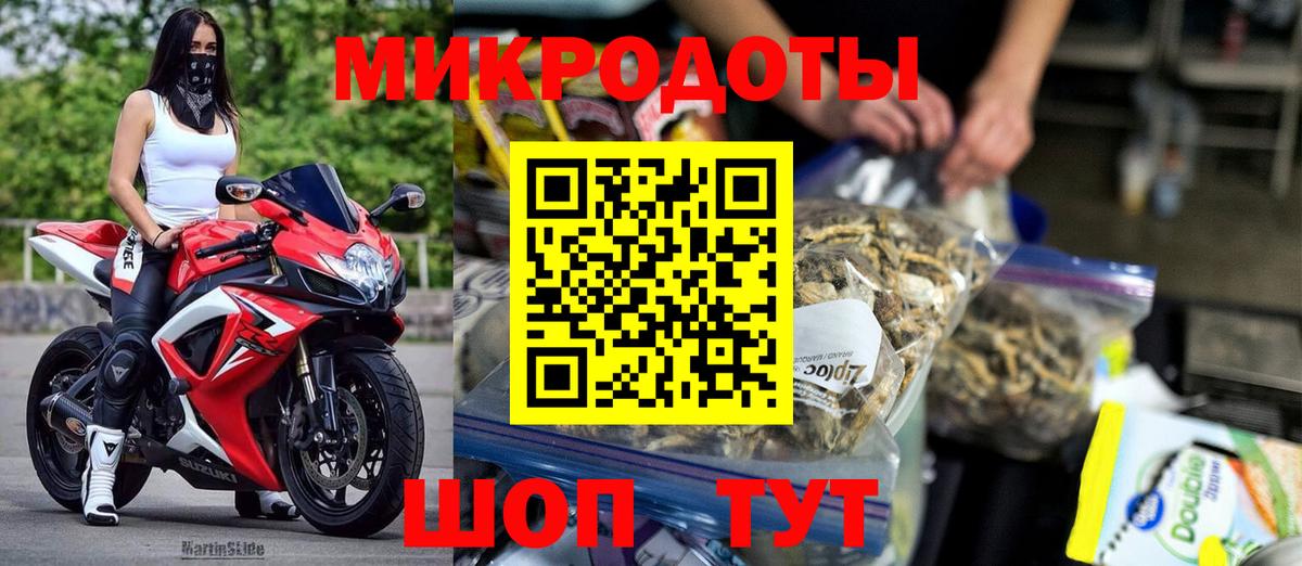 Галлюциногенные грибы Psilocybe Апатиты