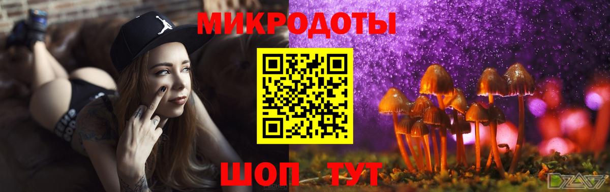Галлюциногенные грибы Psilocybe  Вход с VPN  Апатиты  Галлюциногенные грибы Psilocybe 
