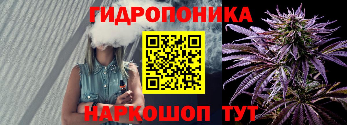 Шишки марихуана OG Kush Апатиты